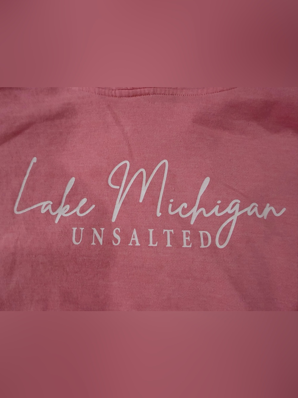 Lake Michigan Script Hoodie - Women's Pink Short Sleeve